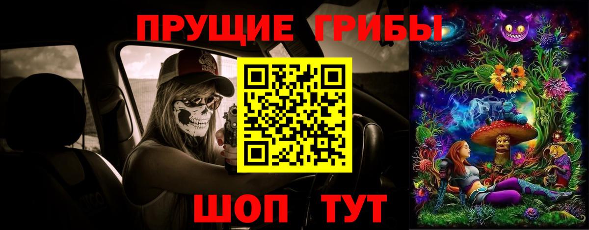 Псилоцибиновые грибы мицелий Полевской